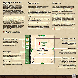 Gra planszowa - Ecos. Pierwszy kontynent